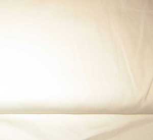 Stretch Corduroy 21 White Fabric